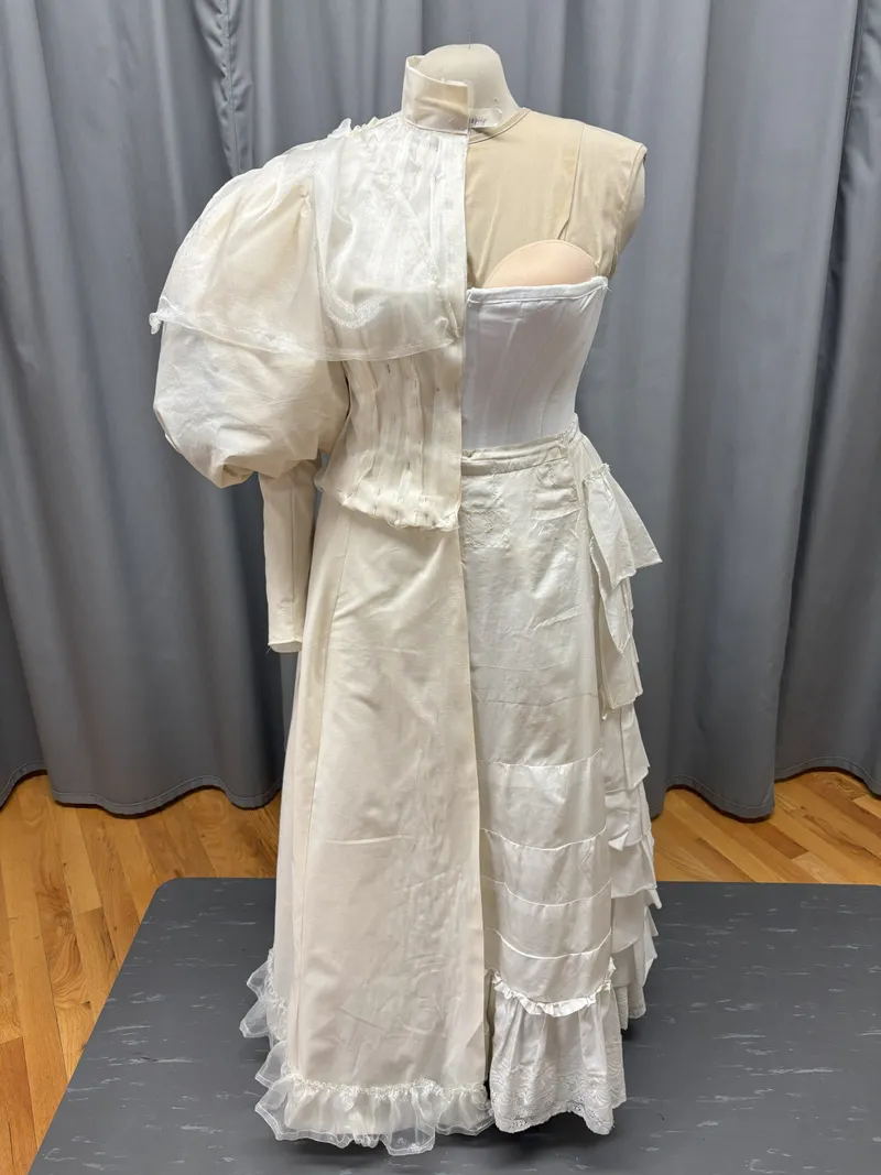 Afternoon Dress 1895